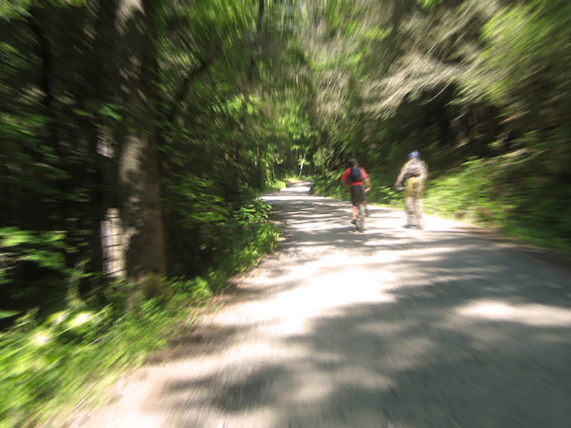 pisgah-mountain-biking-zoom2